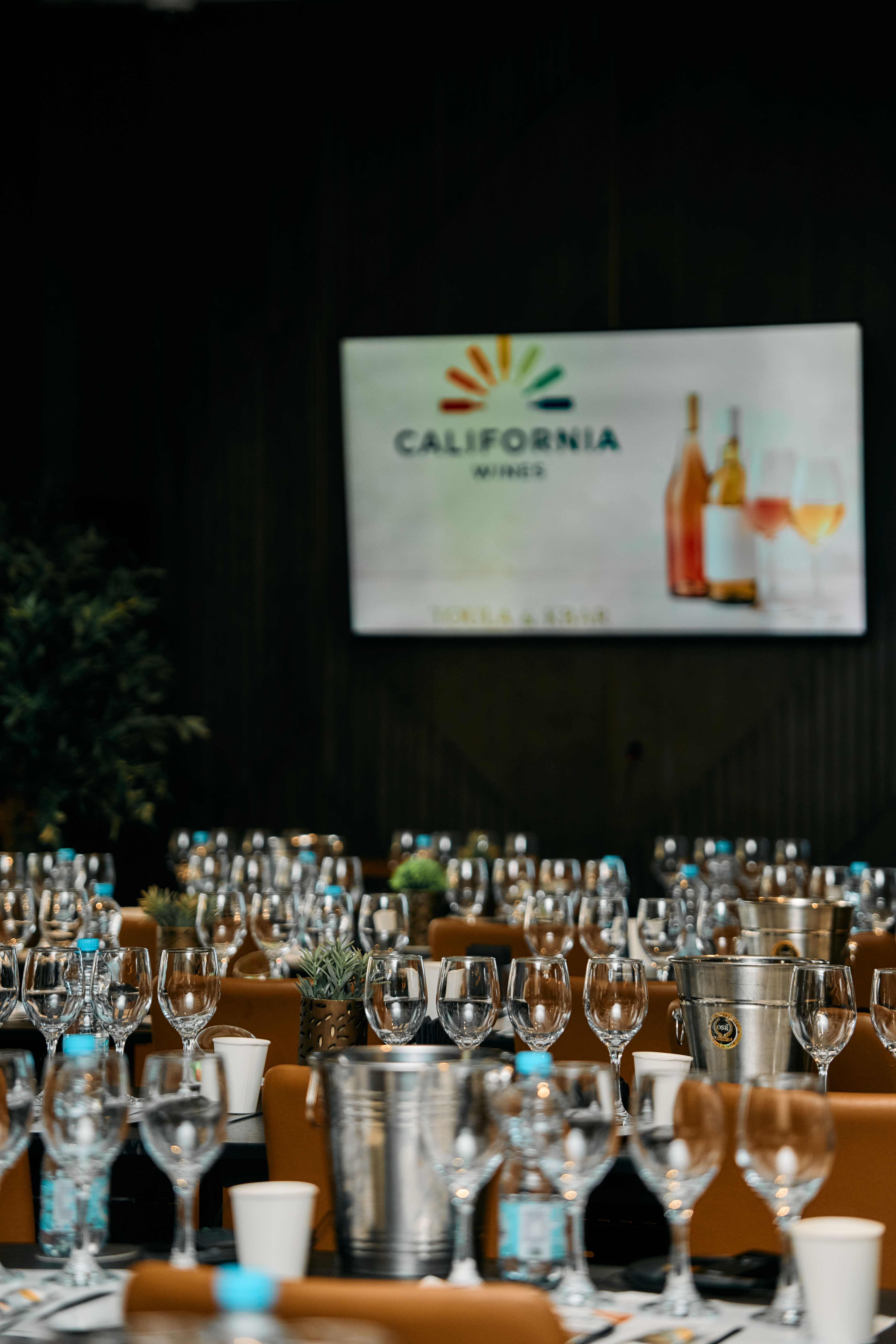 Stringent Gallery Image 6