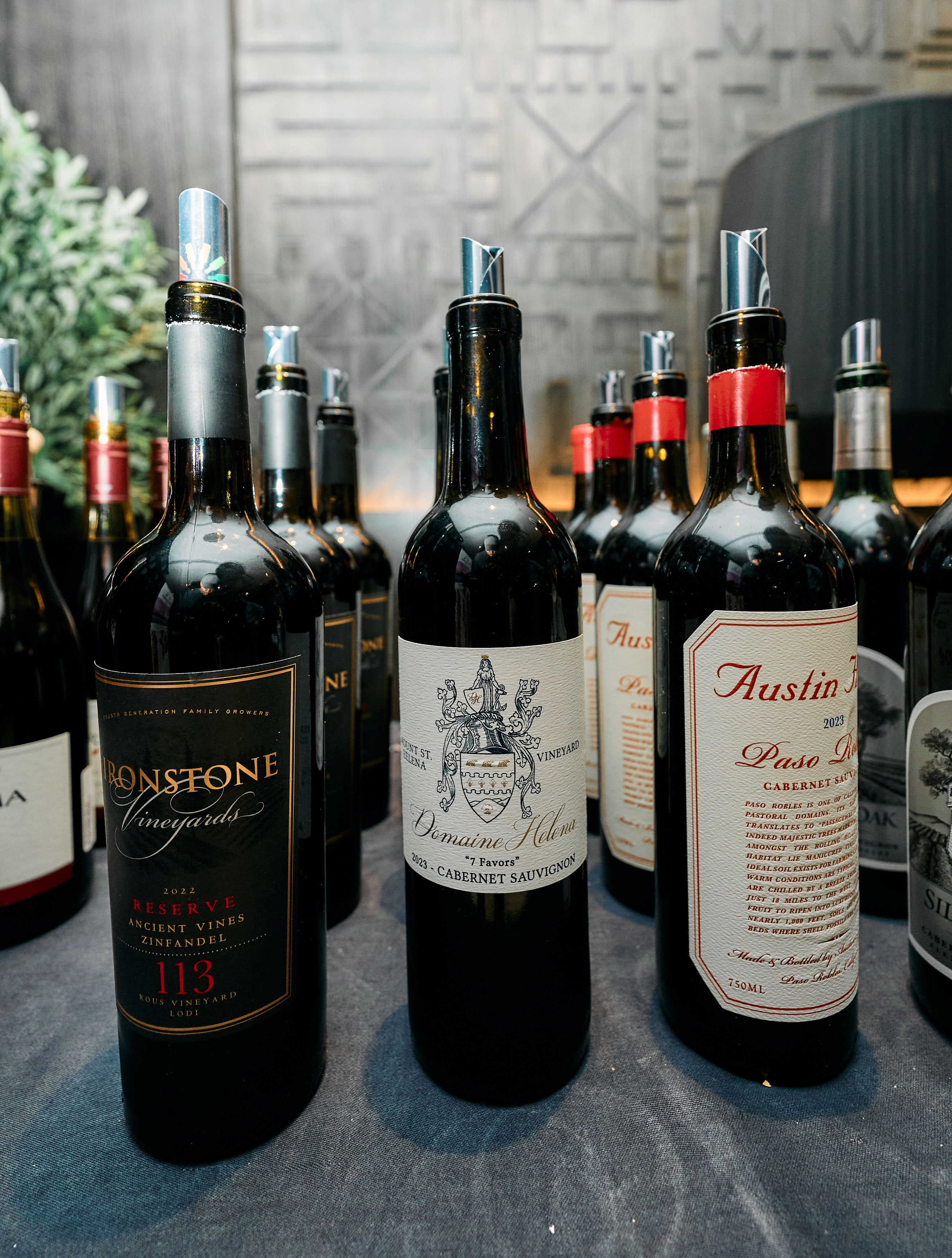 Stringent Gallery Image 35