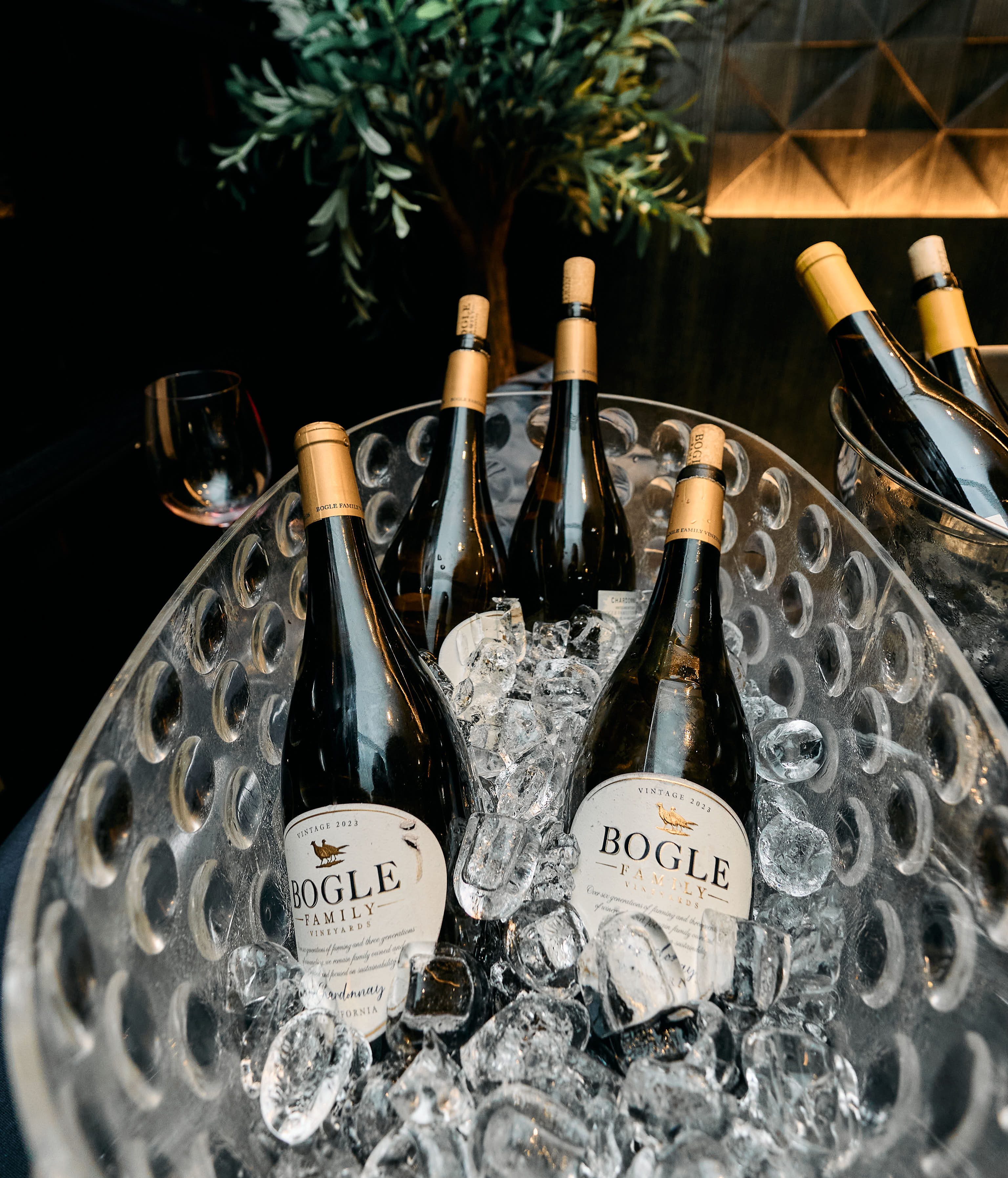 Stringent Gallery Image 38